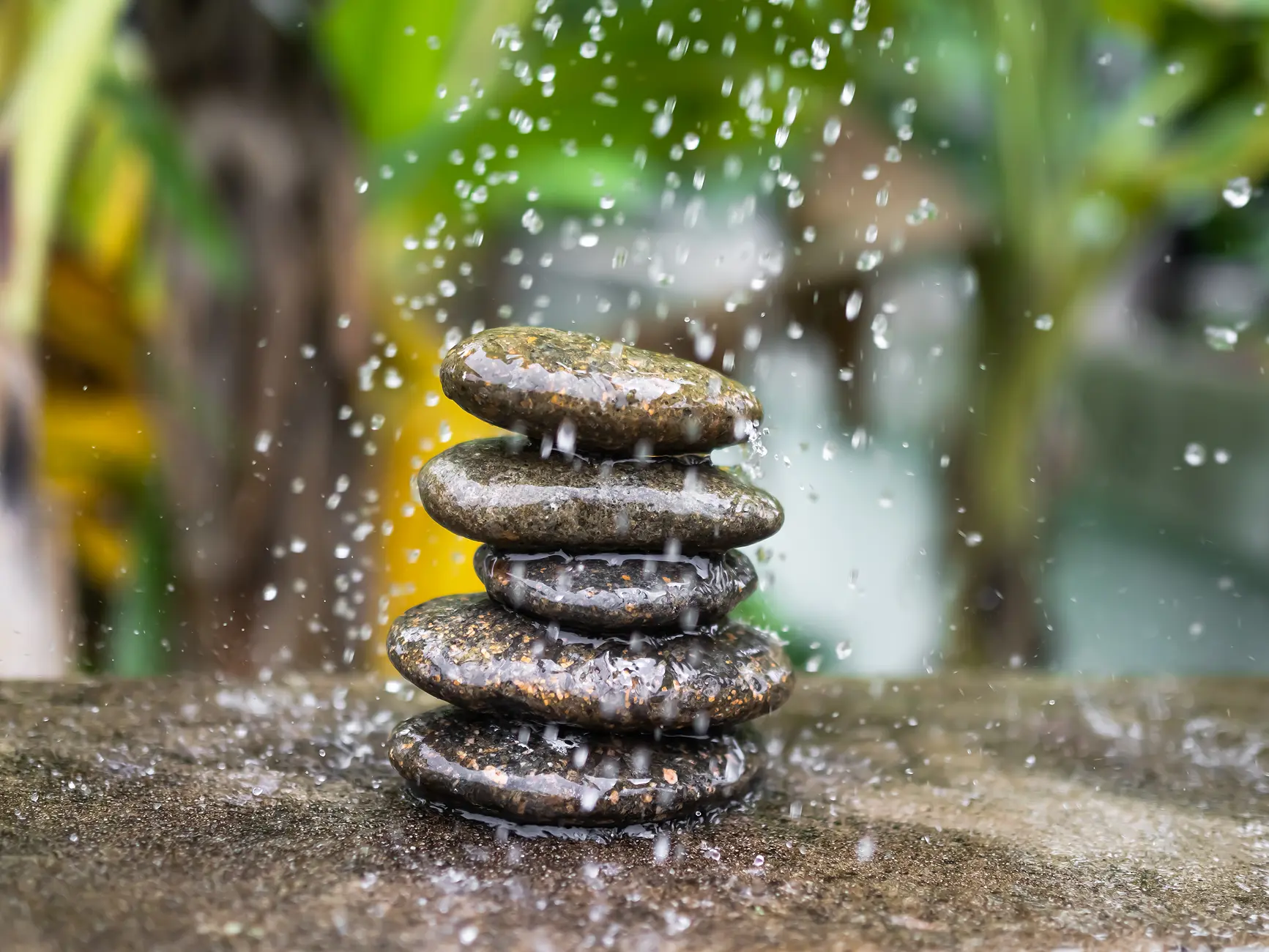 Pramen života s.r.o. - Energetická rovnováha